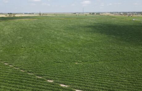 Nebraska irrigated farm for sale